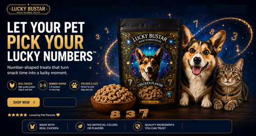 Lucky Bustar Magic Number Dog Treats – Crunchy Number-Shaped Chicken Snacks for Dogs | Astrology-Inspired Pet Gift