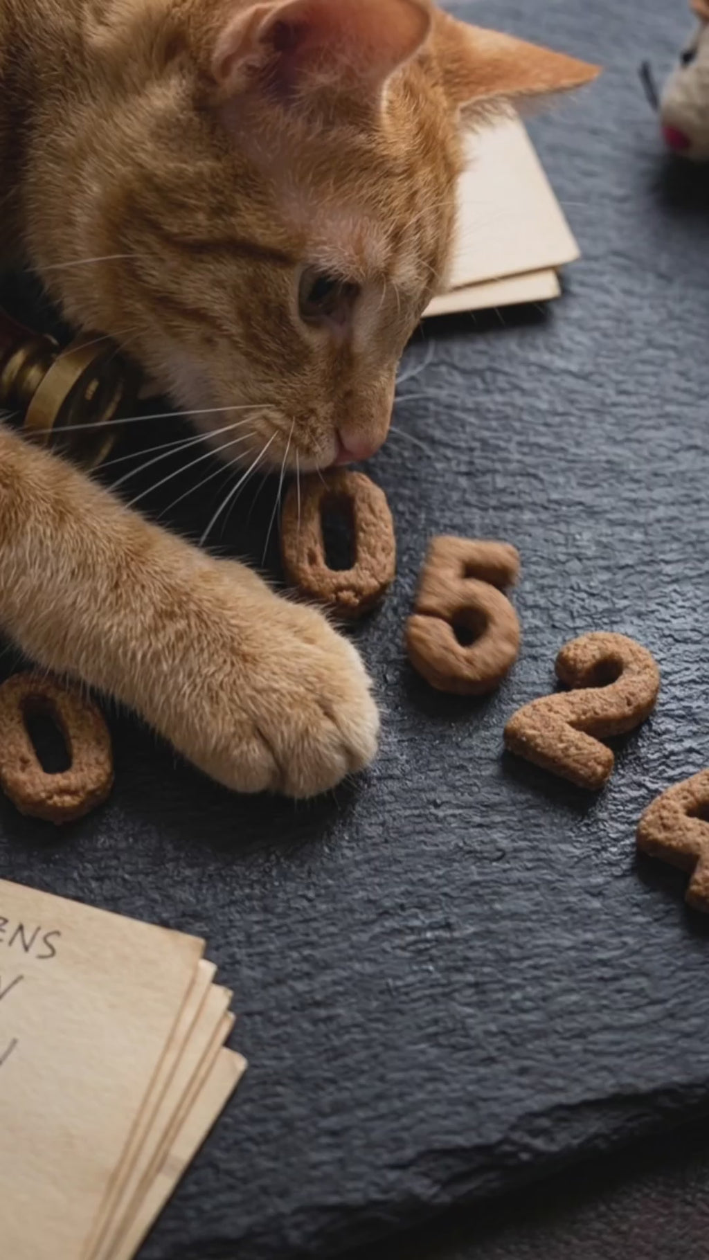 Luckybustar Magic Number Cat Treats